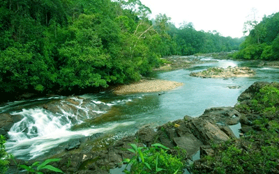 Kuala lumpur with tamana